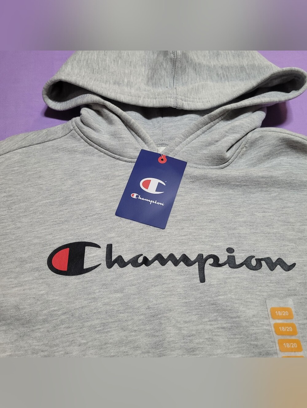 Kids Champion Light Gray Hoodie (Size 18/20) NWT